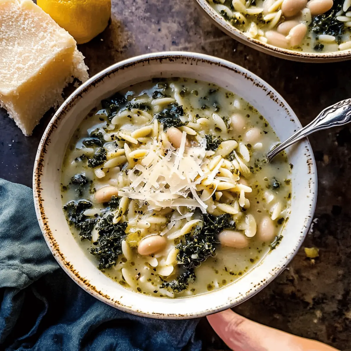 Creamy White Bean Lemon Pesto Orzo Soup. l1r84d